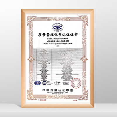 質(zhì)量管理體系認(rèn)證證書(shū)